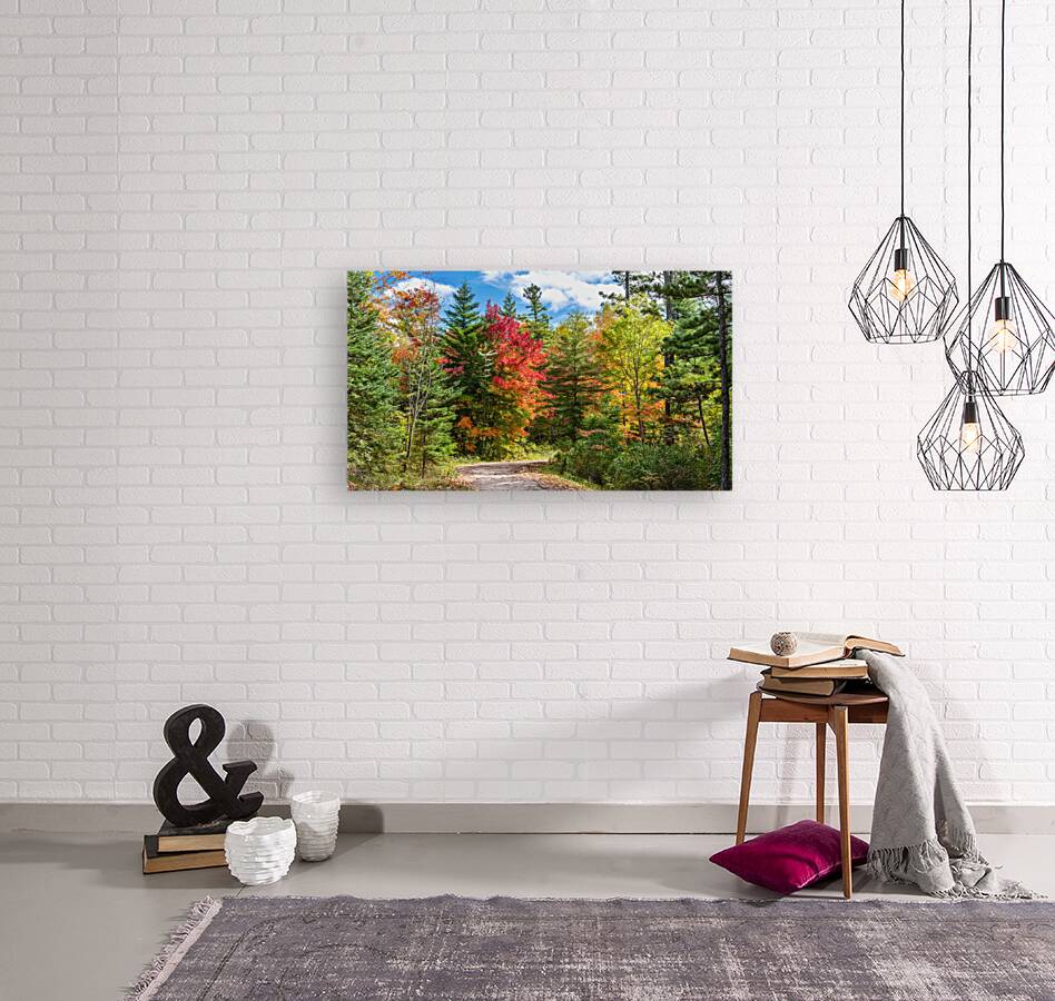 A Dirt Road Less Travelled Reproduction