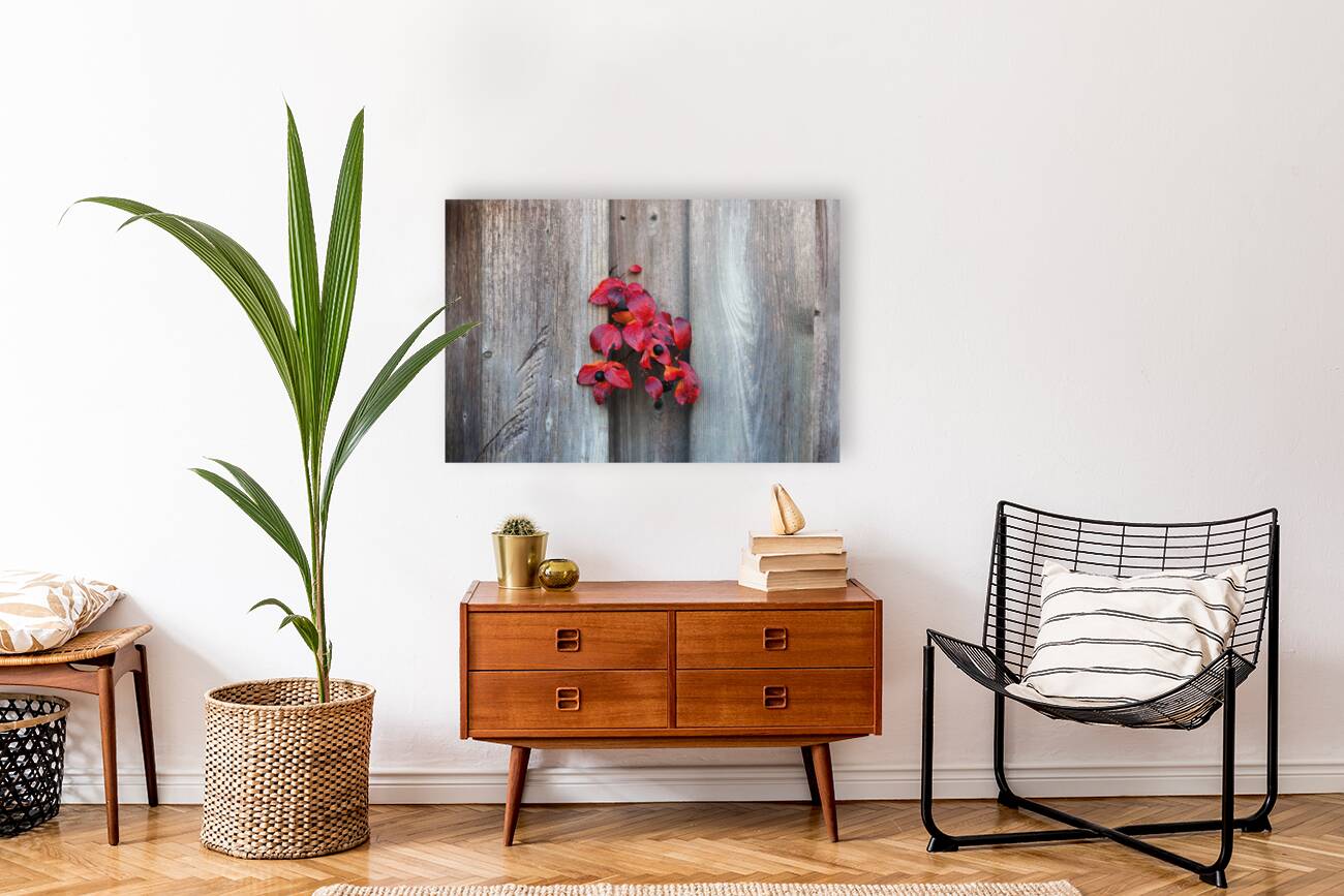 Back on Your Own Side Reproduction