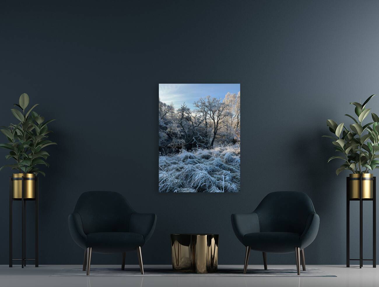 Frosty Nature in the Scottish Highlands  Reproduction