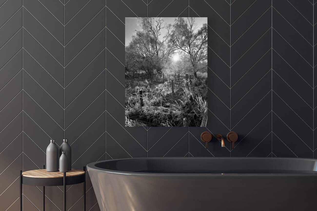 Winters Frosty Embrace for the Scottish Highlands Reproduction