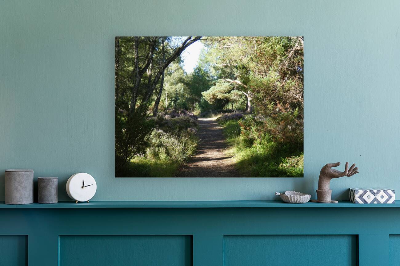 Natures Adventure Path in the Scottish Highlands Reproduction