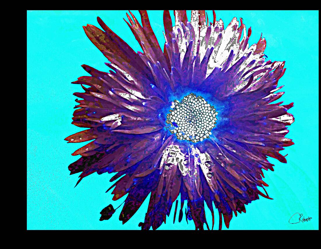 Abstract Purple and Blue Daisy Reproduction