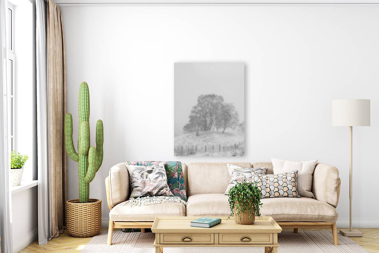 Birch Tree Winter White Out in the Scottish Highl Reproduction