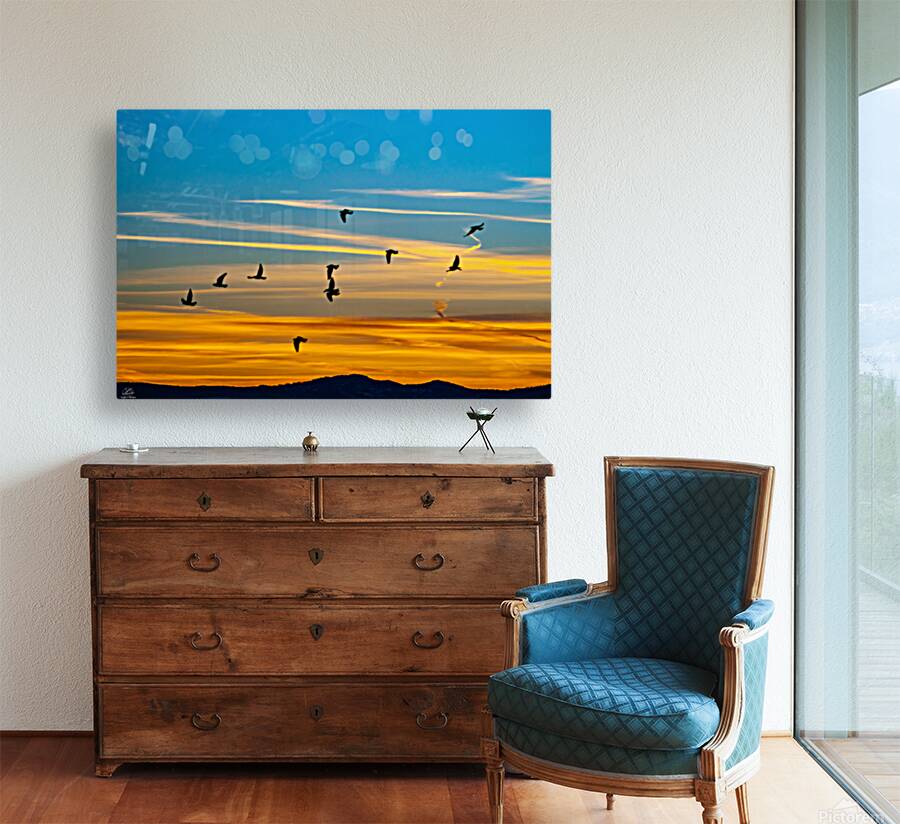 Southbound Reproduction