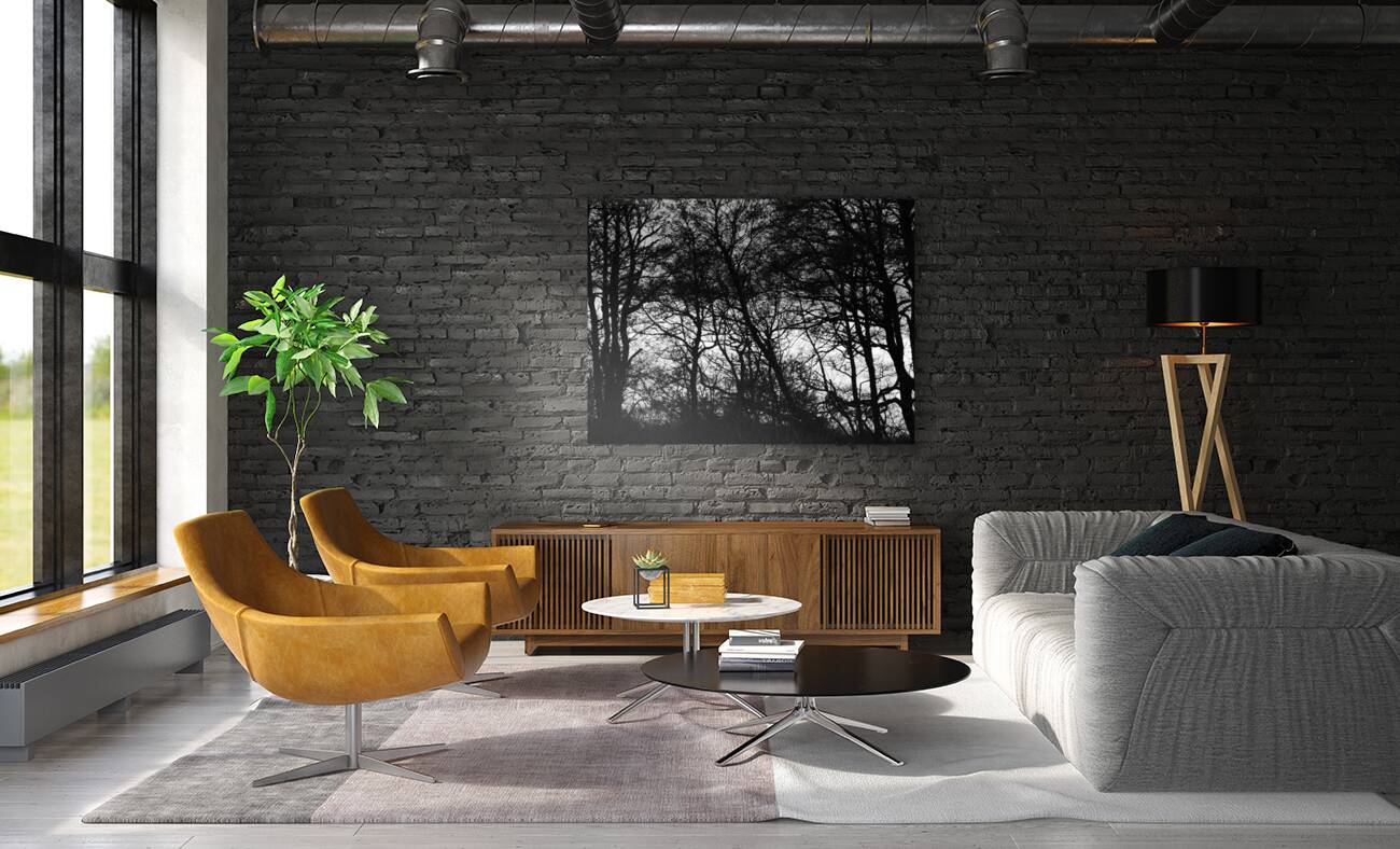 Winters Black and White Trees in the Scottish Highlands Reproduction