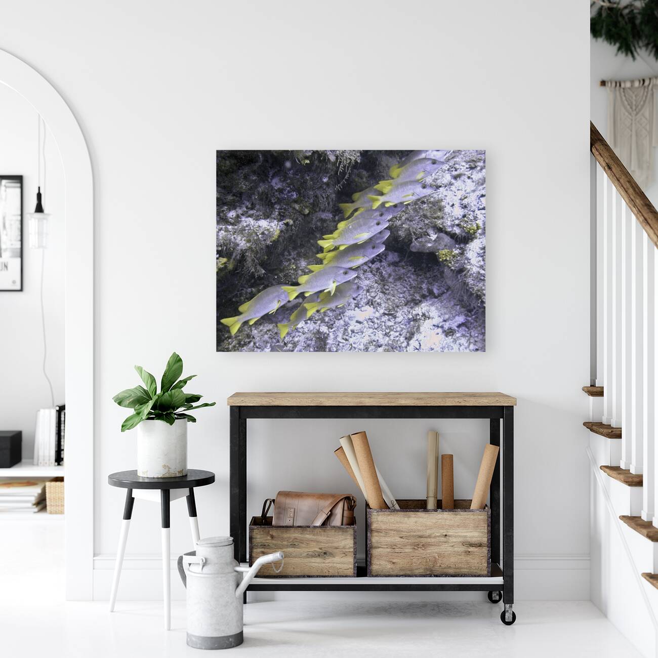 Frowsty Reproduction