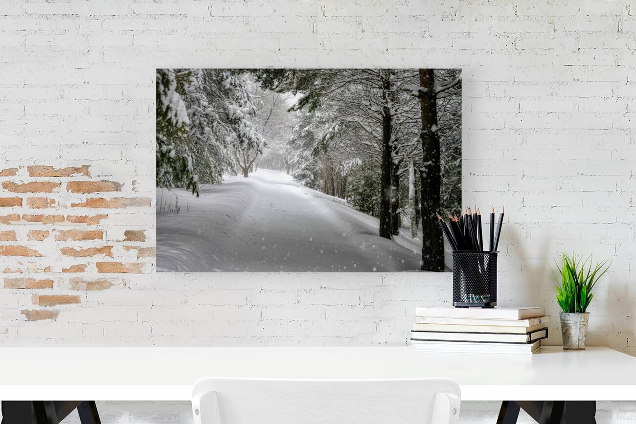 Your Turn to Shovel the Driveway Reproduction