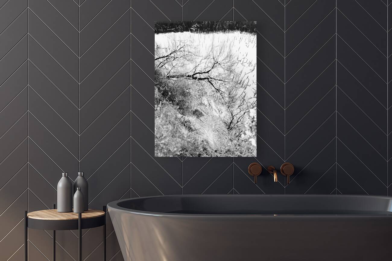 Scenes from the Trail- Monochrome Winter Lochan Reflections Reproduction