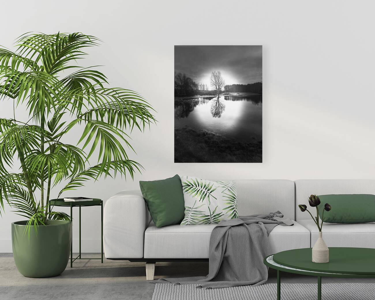 Scenes from the Trail-Winter Birch Tree Reflections in the Scottish Highlands  Reproduction