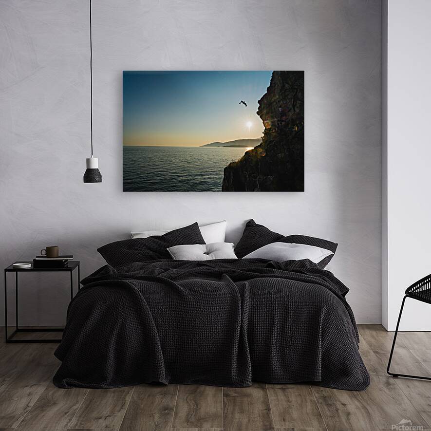 Lighthouse Park Cliff Jump Reproduction