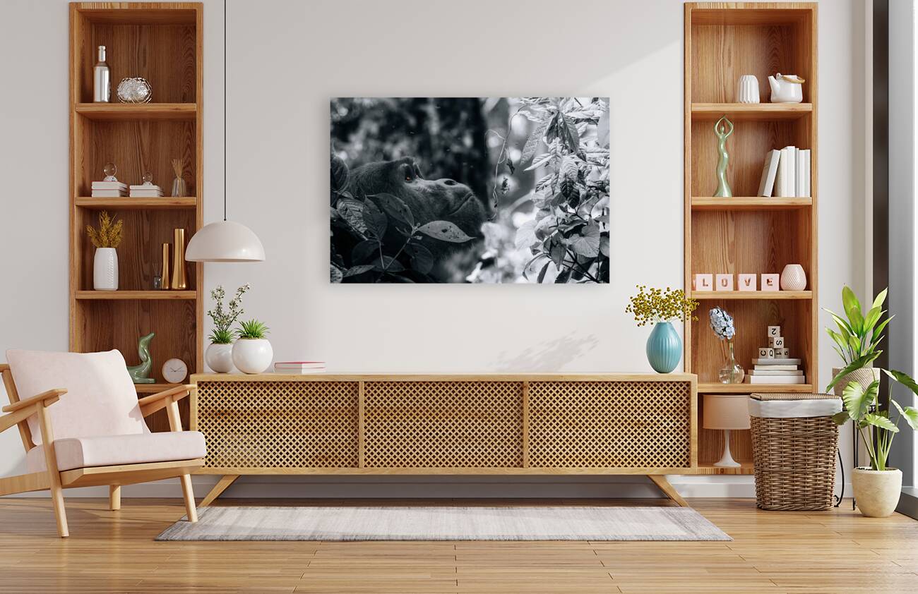 Lookin to the Sky B&W Reproduction