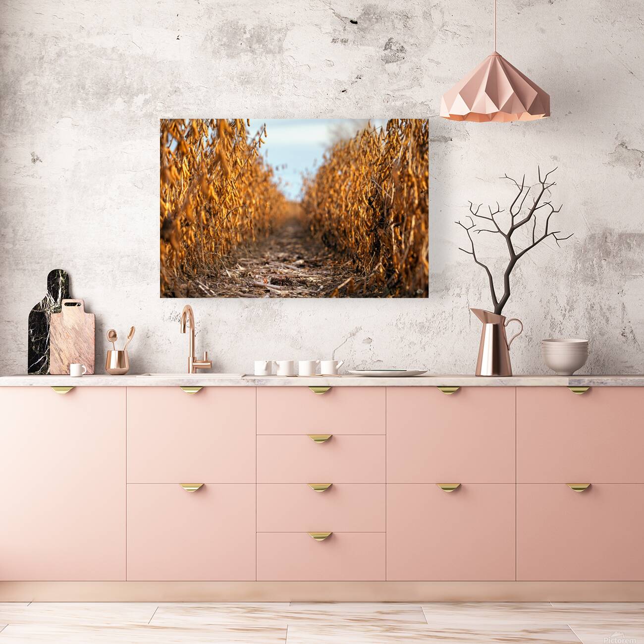 Solitude seche Reproduction