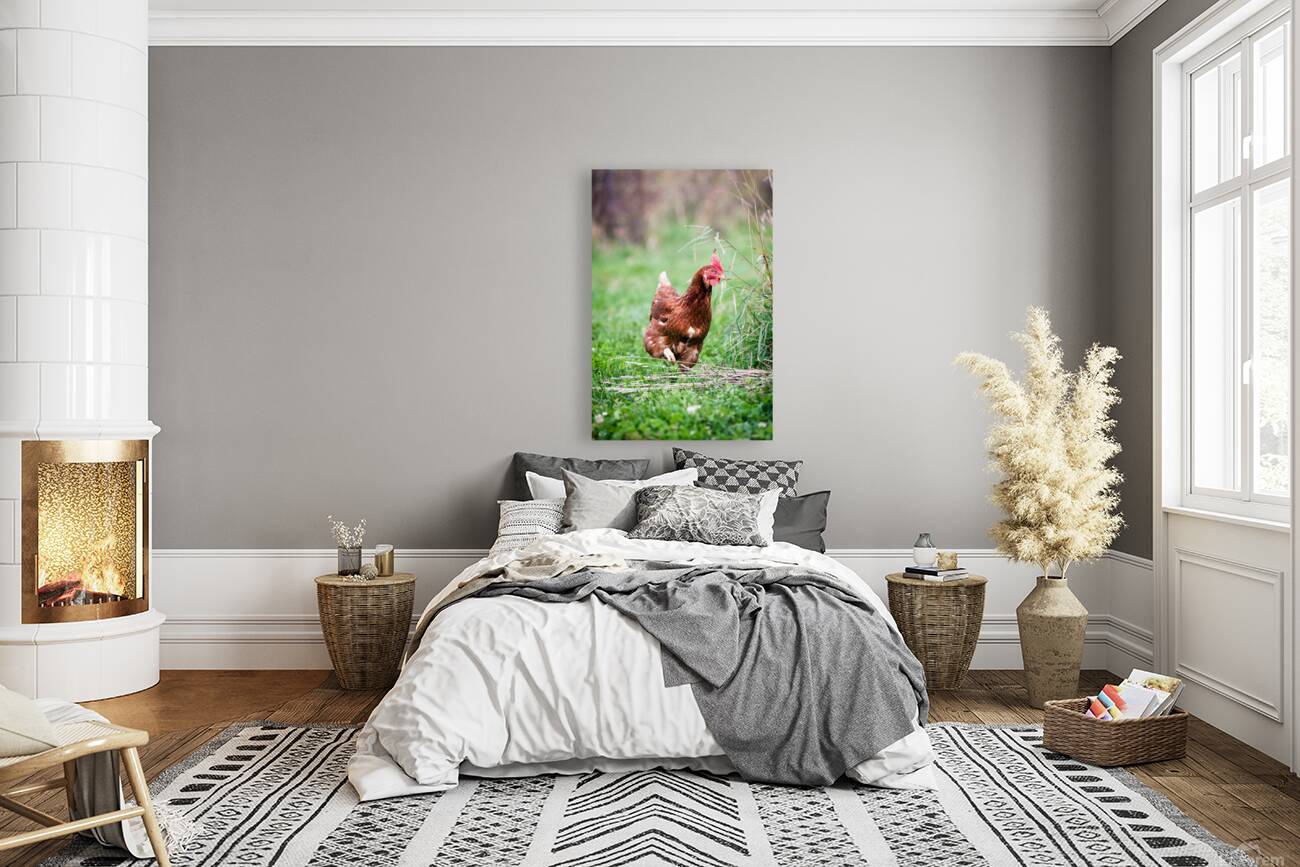 Criquette Reproduction