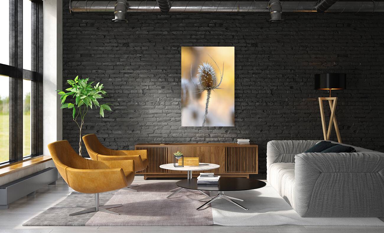 Closeup macro shot of a thistle flower covered by beautiful ice crystals  Reproduction