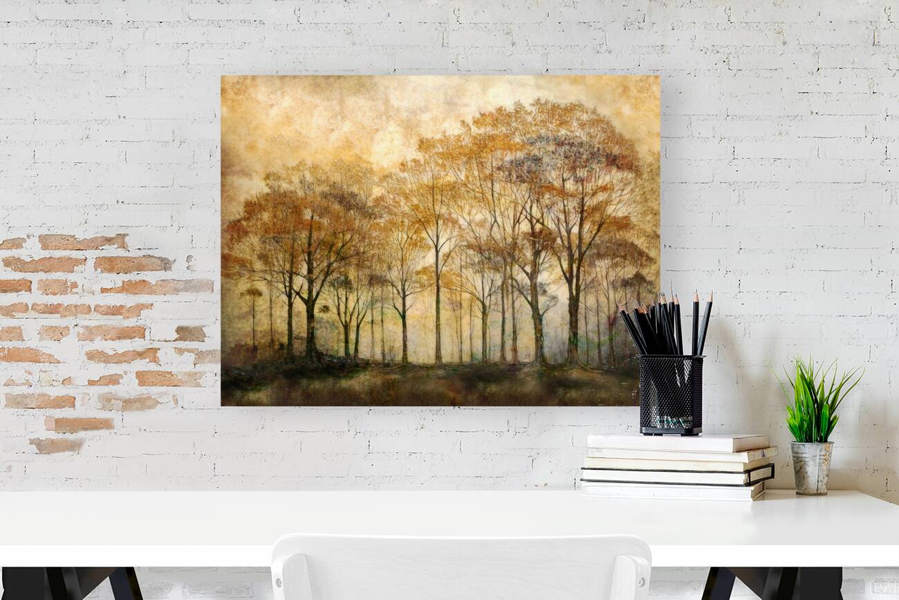 Trees in Morning Reproduction