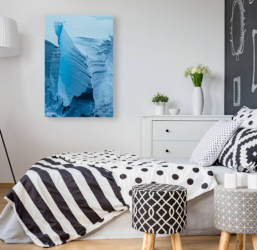 Iceberg Collection  2 Reproduction