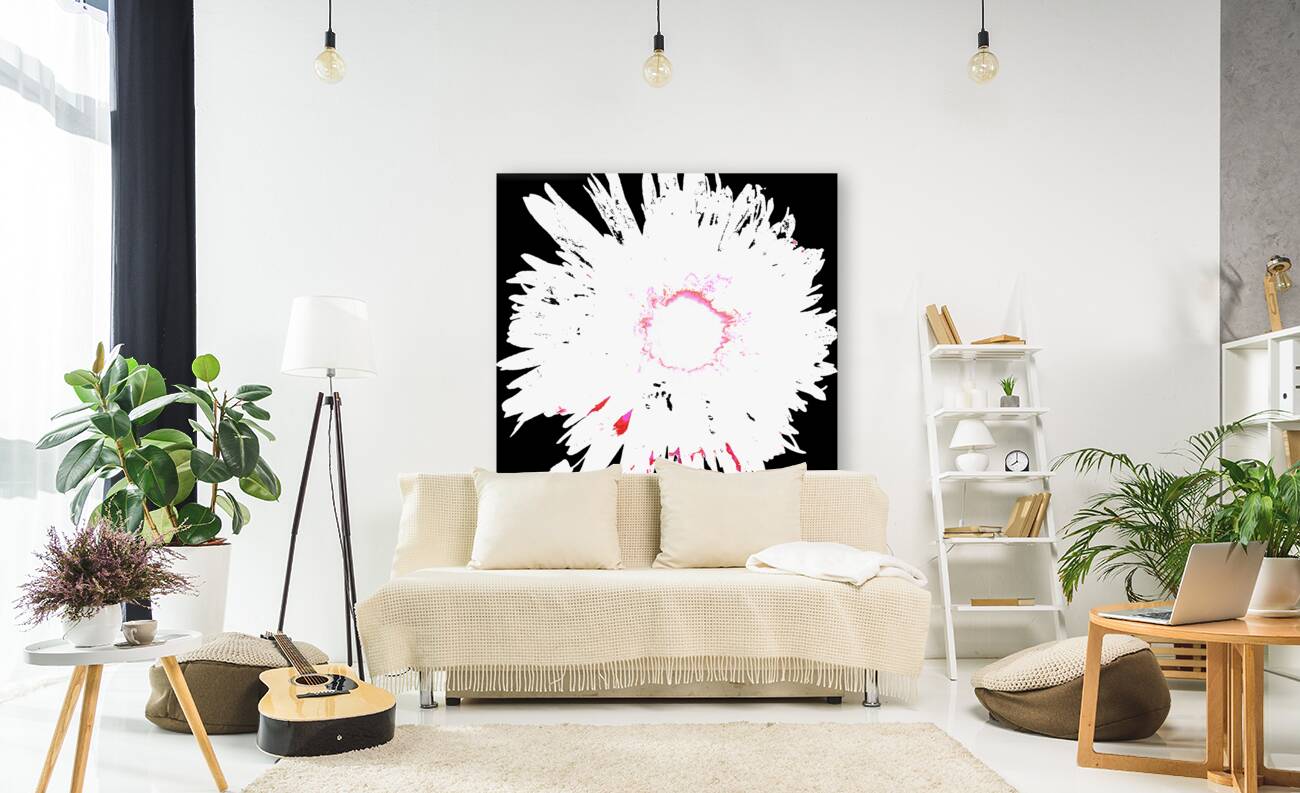 Distressed Abstract White and Pink Daisy on a Black Background Reproduction
