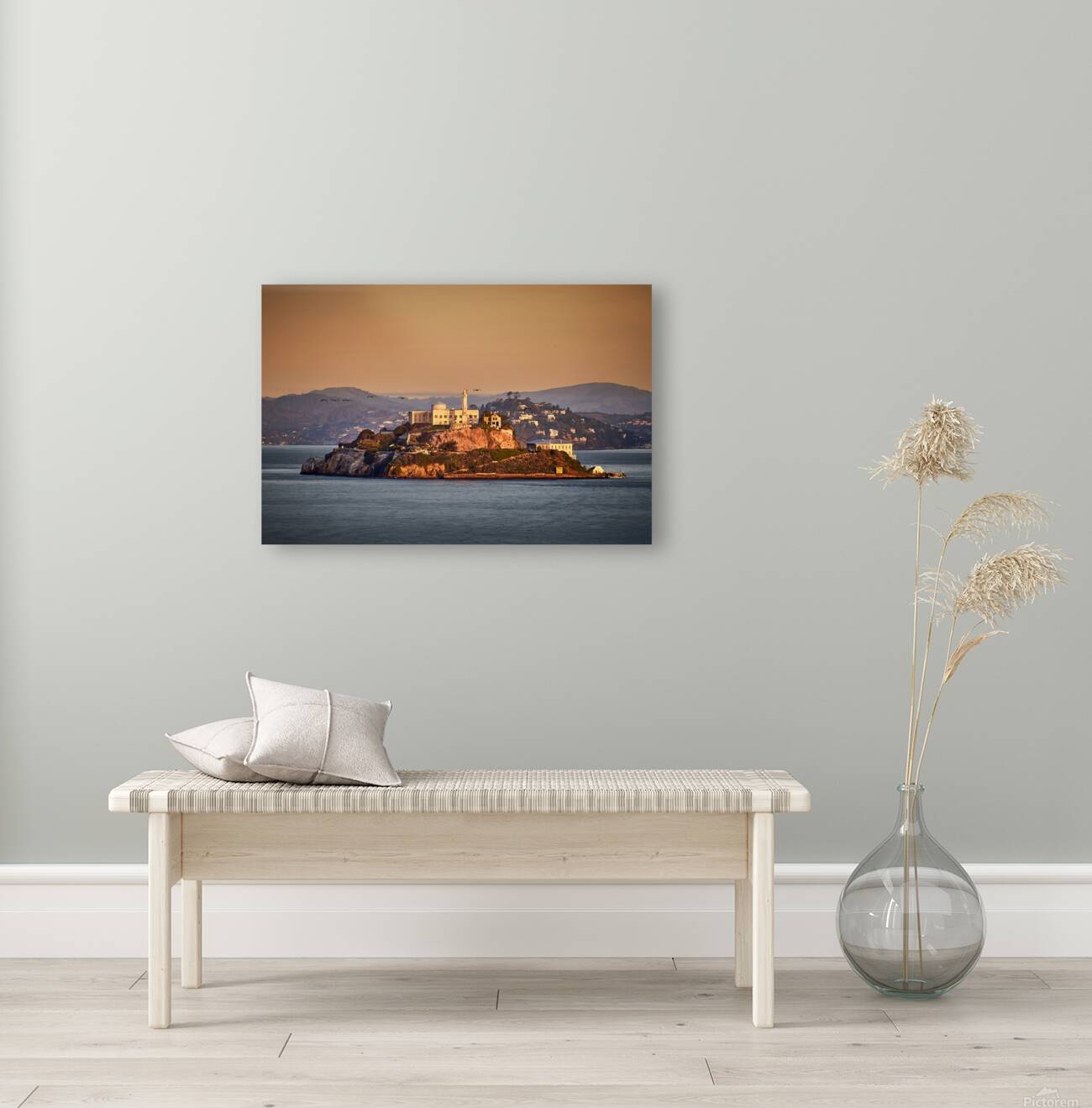 San Francisco Alcatraz Sunrise Birds Reproduction