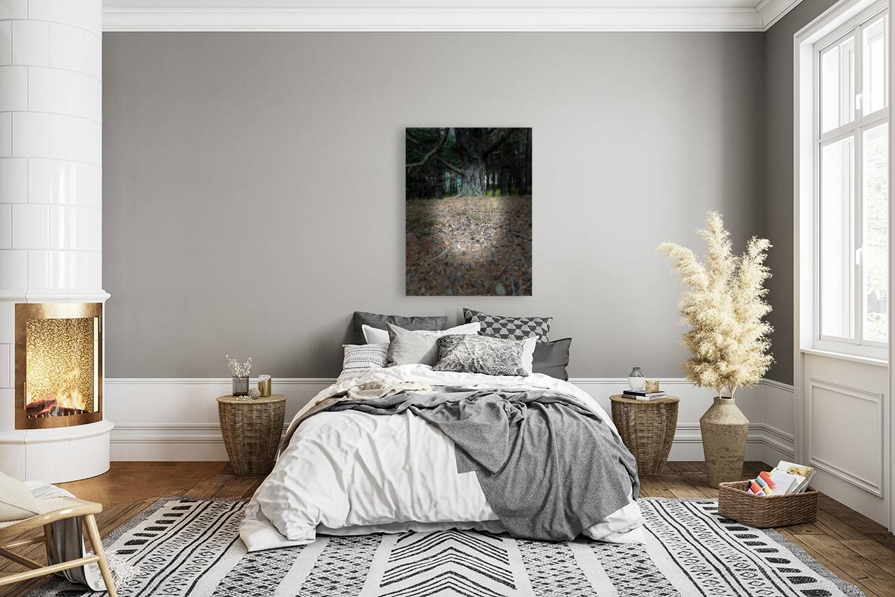 Scenes from the Trail- Forest Floor Reproduction