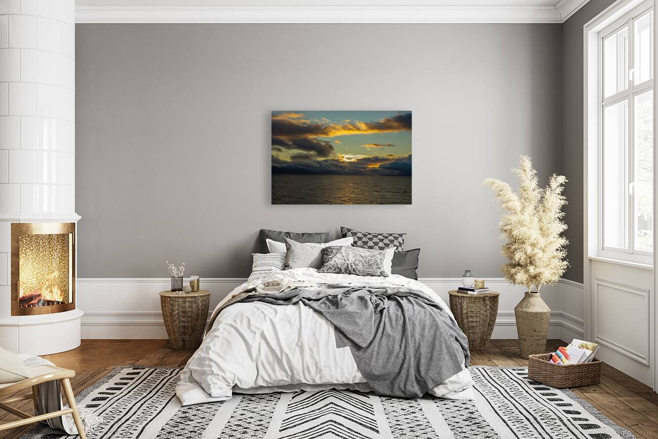 Patagonia 7329 Reproduction