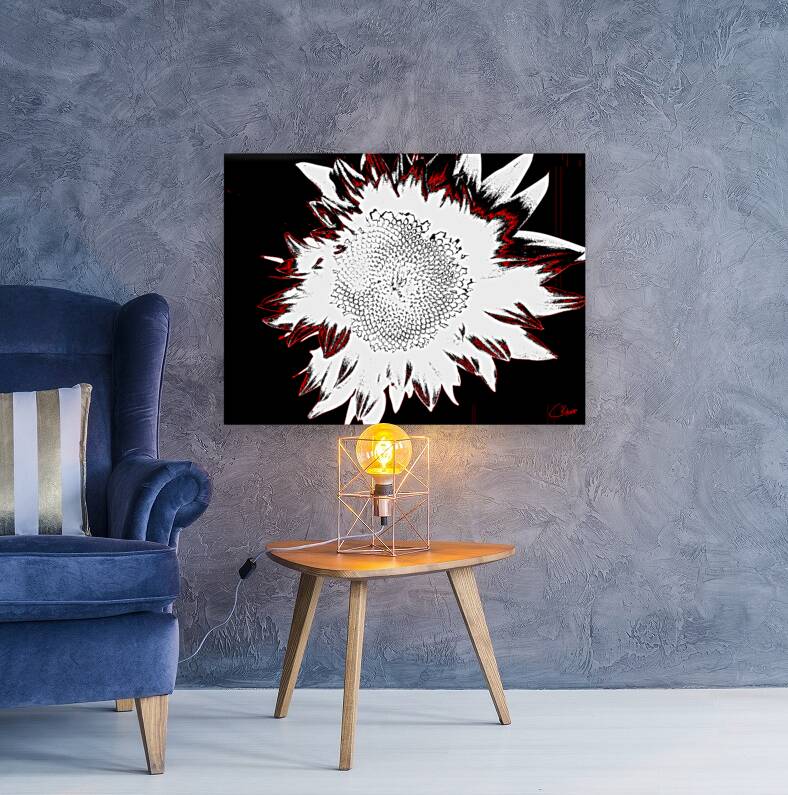 Abstract Contrasting Sunflower Reproduction