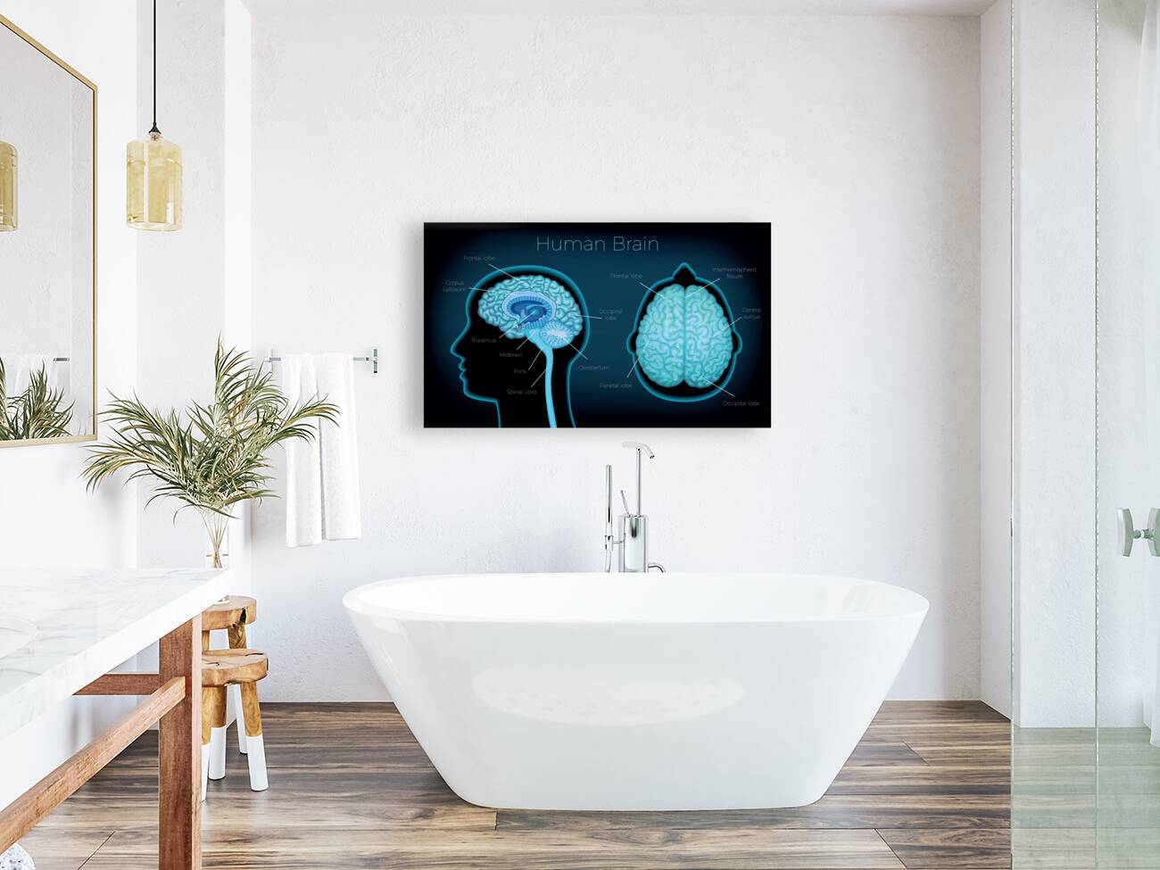 Human Brain Reproduction