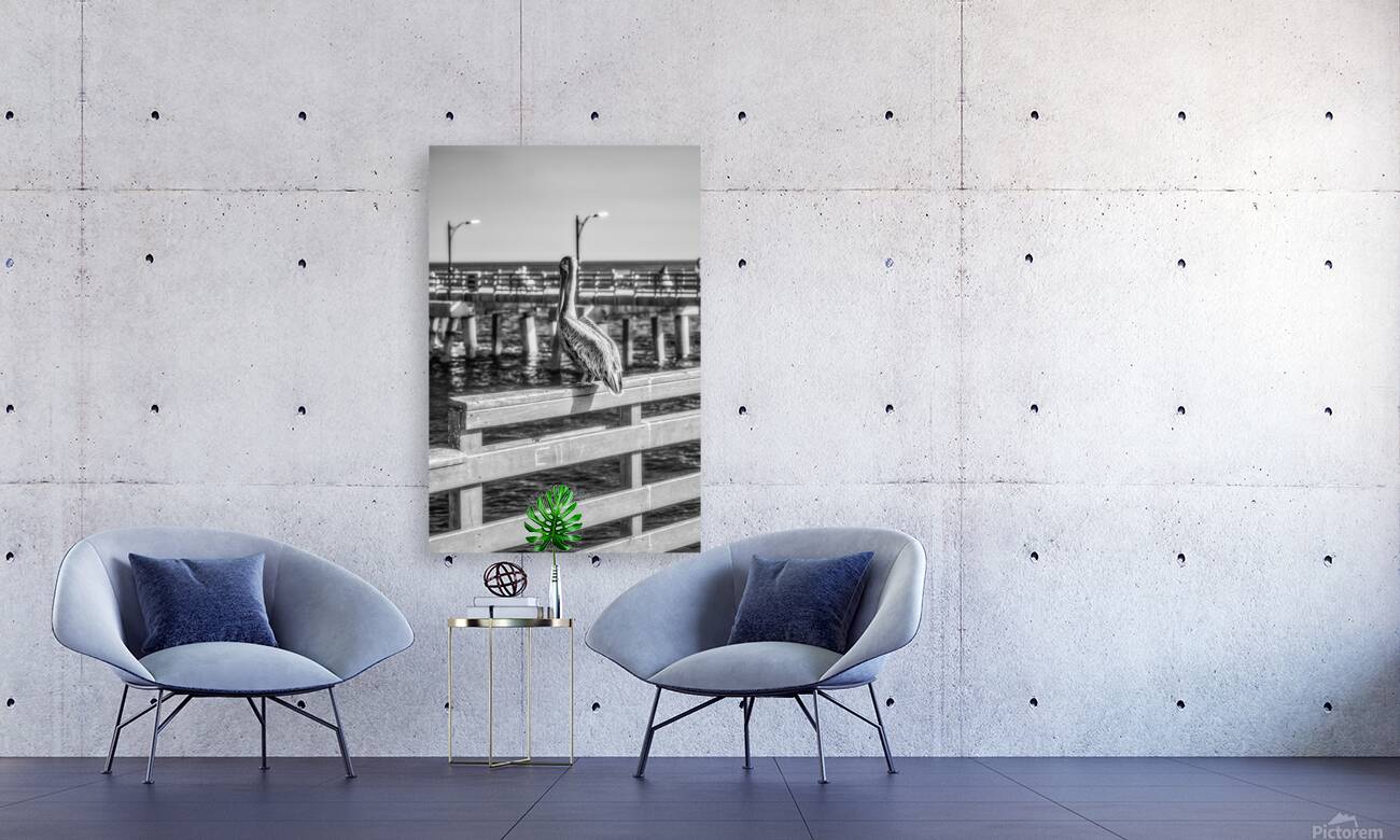 Oceans Guardian: Black and White Infrared Capture of Pelican on  Reproduction