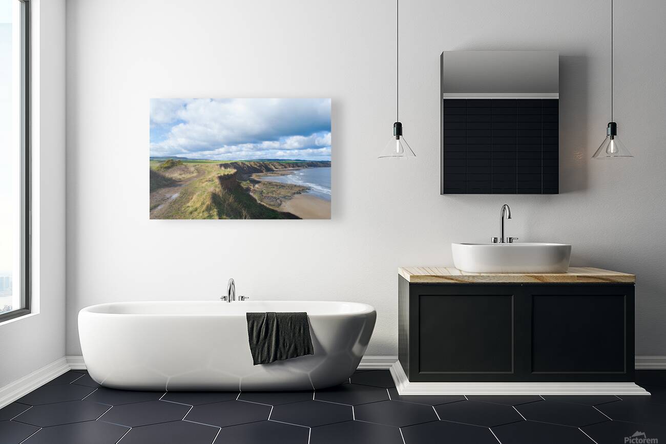 Scalby Cliffs Reproduction