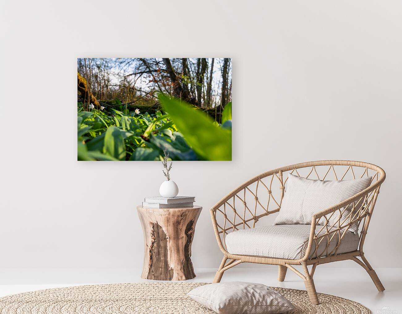 Closeup shot of wild garlic and thimbleweed in the beautiful forest in early spring at sunset Reproduction