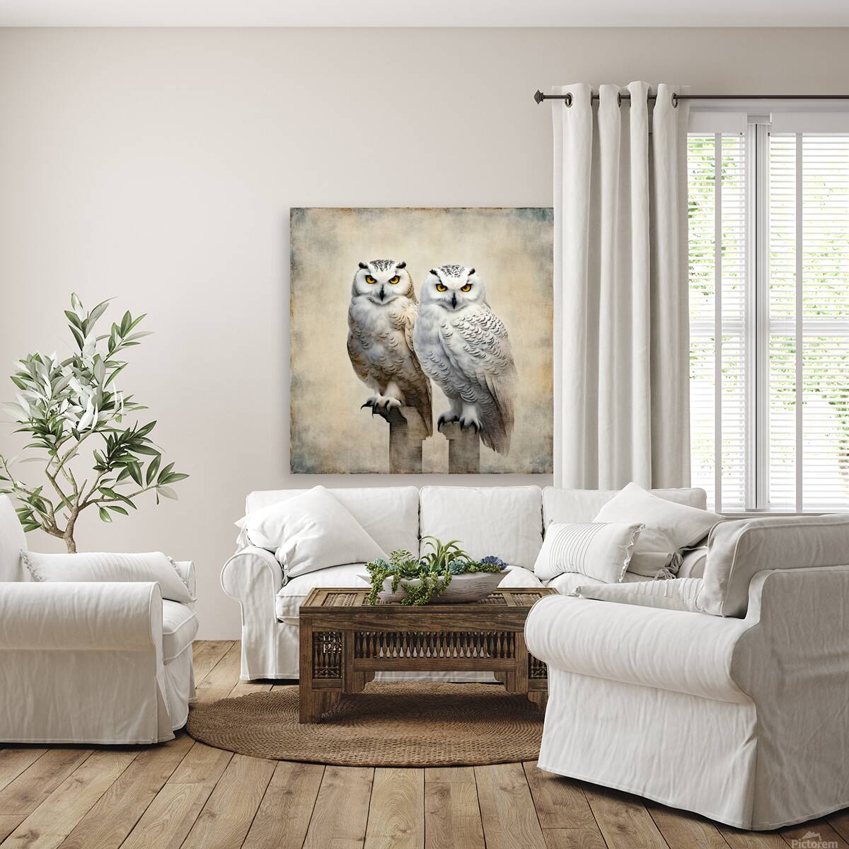 SNOWY 8 Reproduction