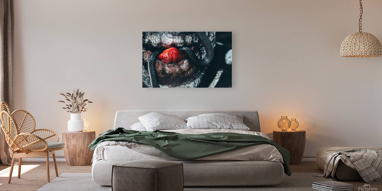 Slither Reproduction