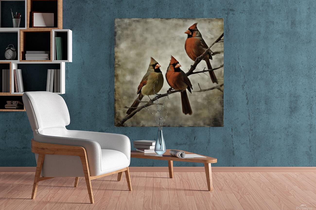 CARDINALS 7 Reproduction