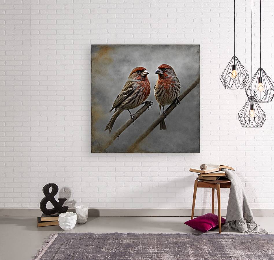 HOUSE FINCH 2 SC Reproduction
