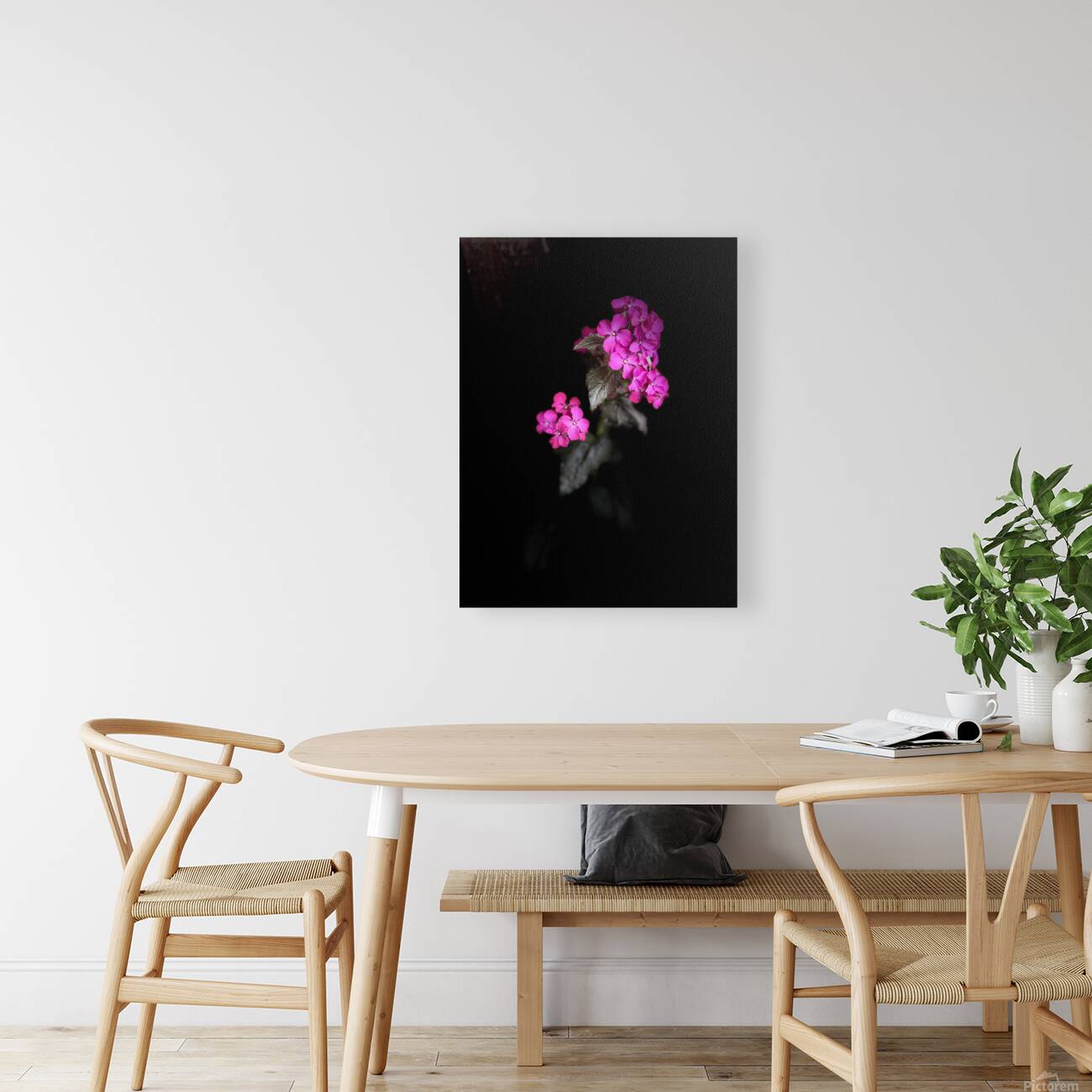 Portrait of Plants- Colour Out of Darkness Reproduction