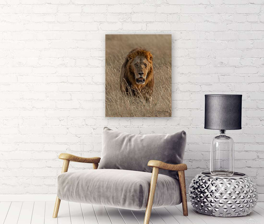 Couleur de feu Reproduction