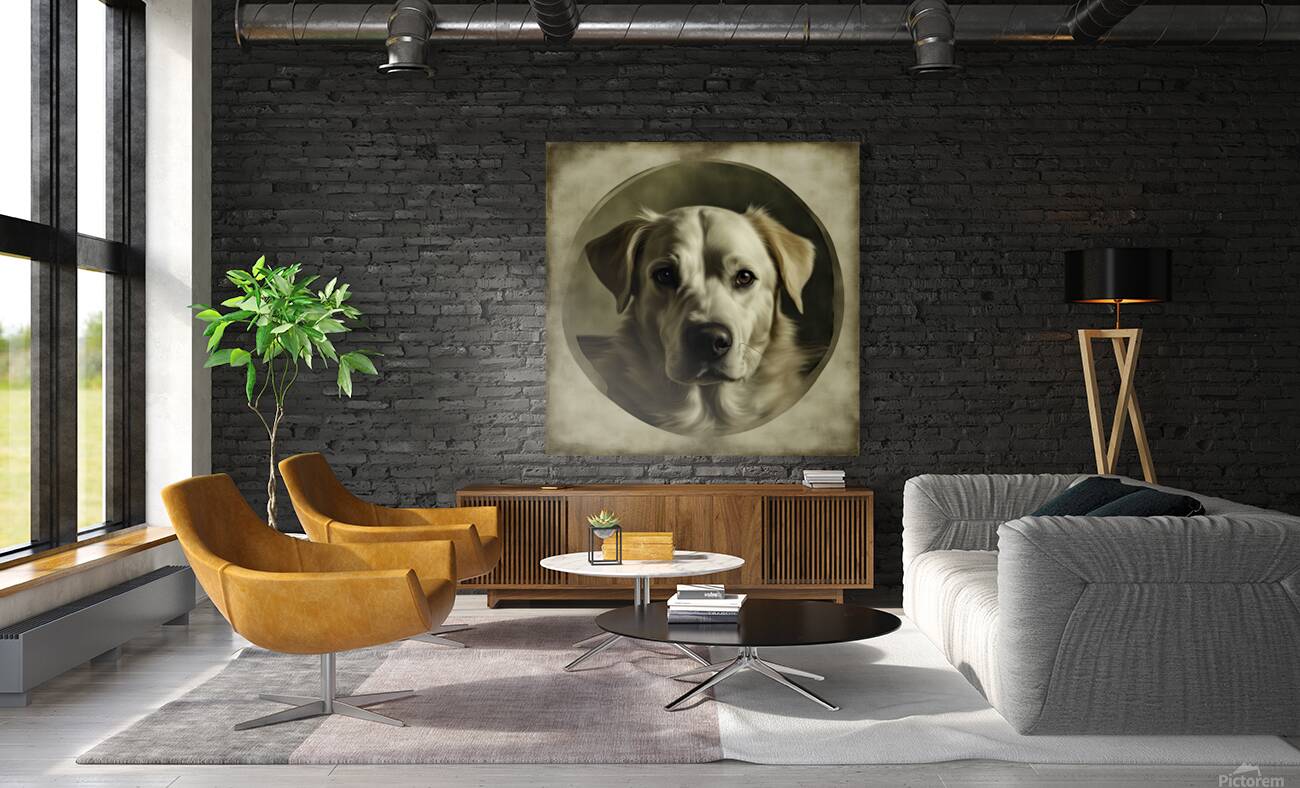 LABRADOR RETRIEVER Reproduction