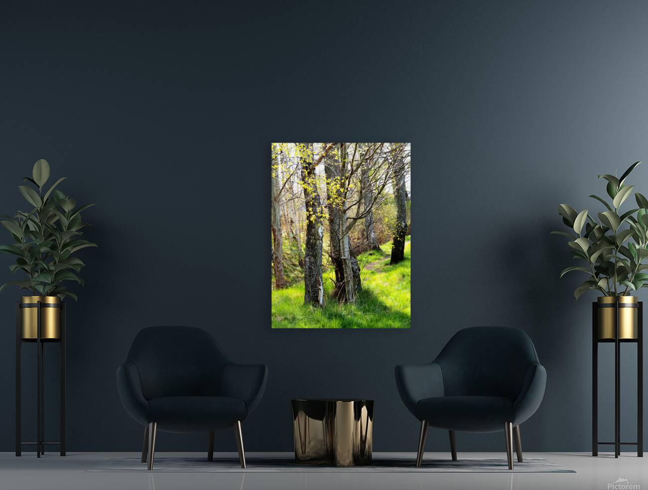  Forests Spring Light in the Scottish Highlands                                                                                                                      Reproduction