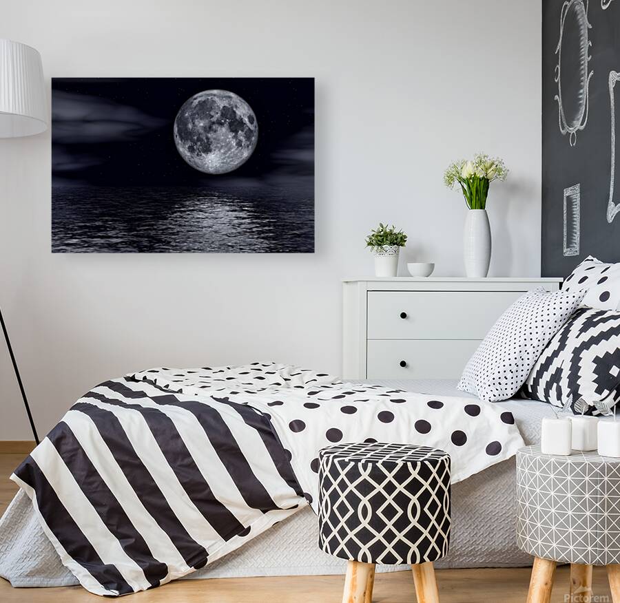 Full Moon Night Reproduction