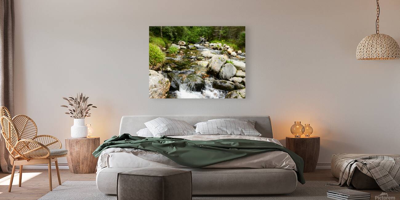 Summer River in the Scottish Highlands Reproduction