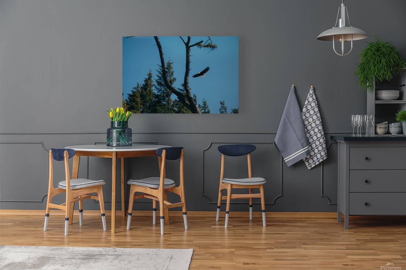 Eagle Flight Reproduction