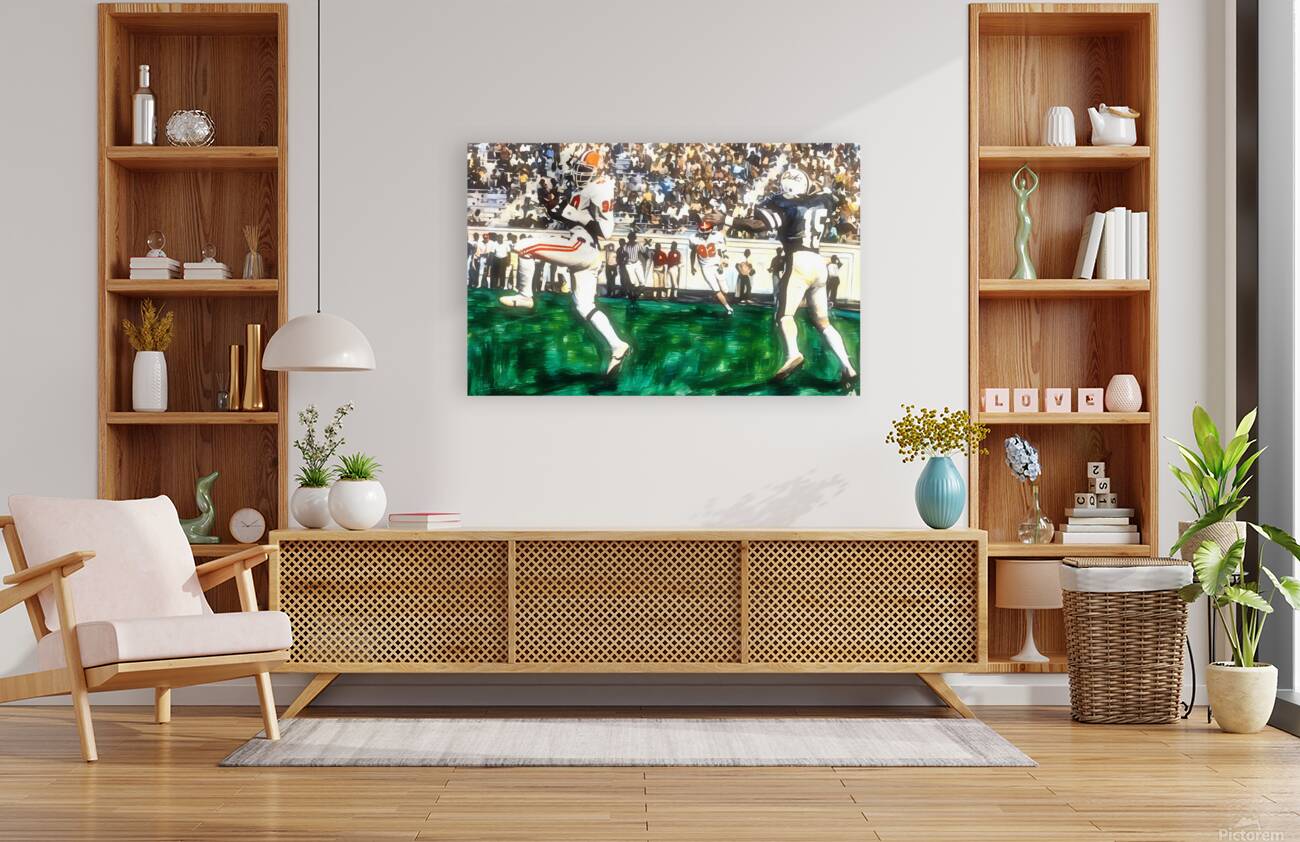 1981 Clemson Interception Reproduction