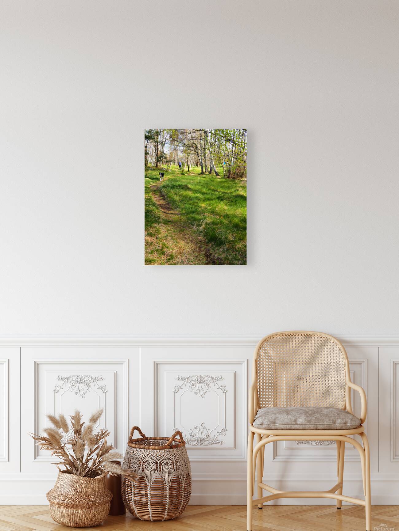 Scottish Highlands Spring Woodland Dog Walk                                                                                                                      Reproduction