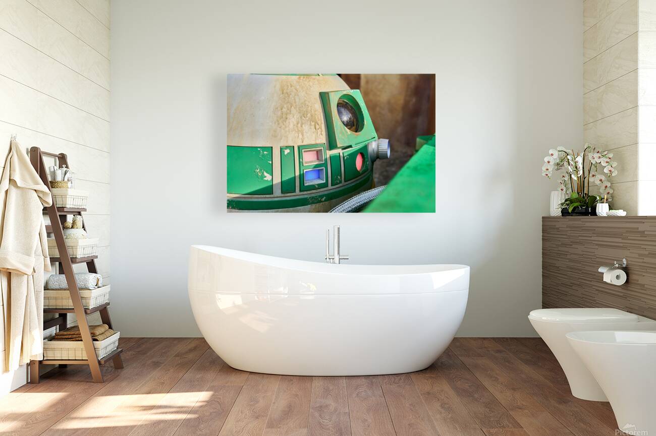 Droid Companion Details Reproduction