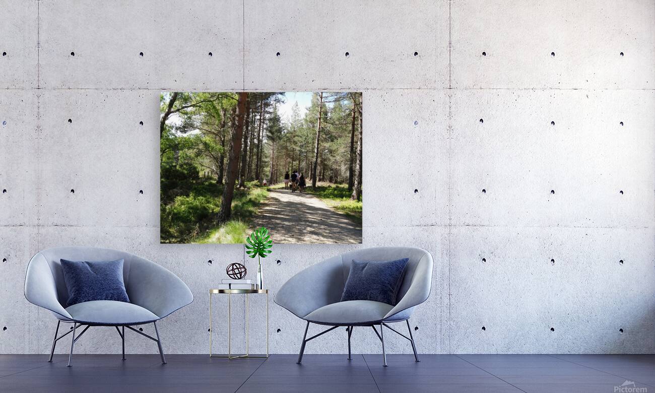 A Forest Walk Through The Scottish Highlands                                                                                                                      Reproduction