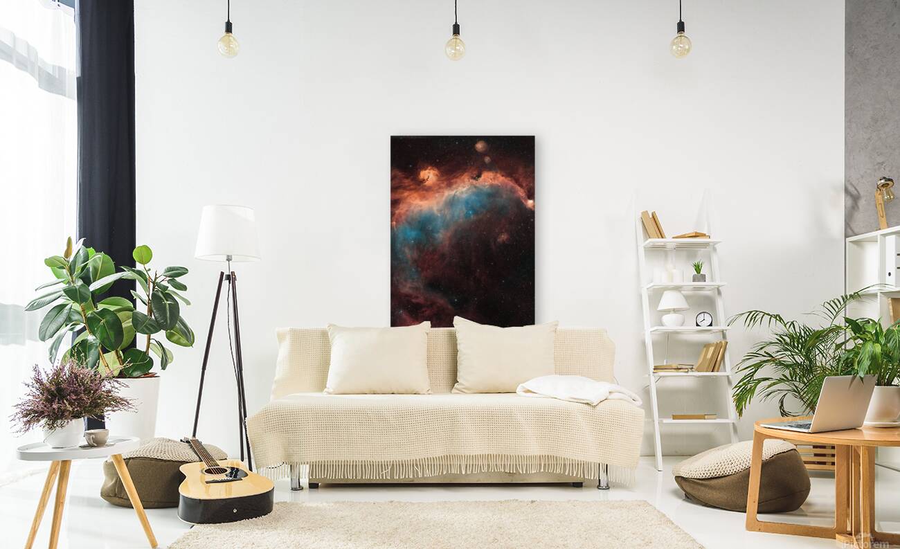 Seagull Nebula Reproduction