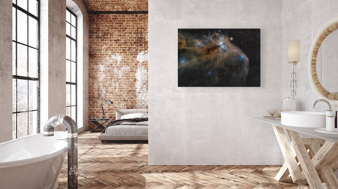 IC 4812  Reproduction