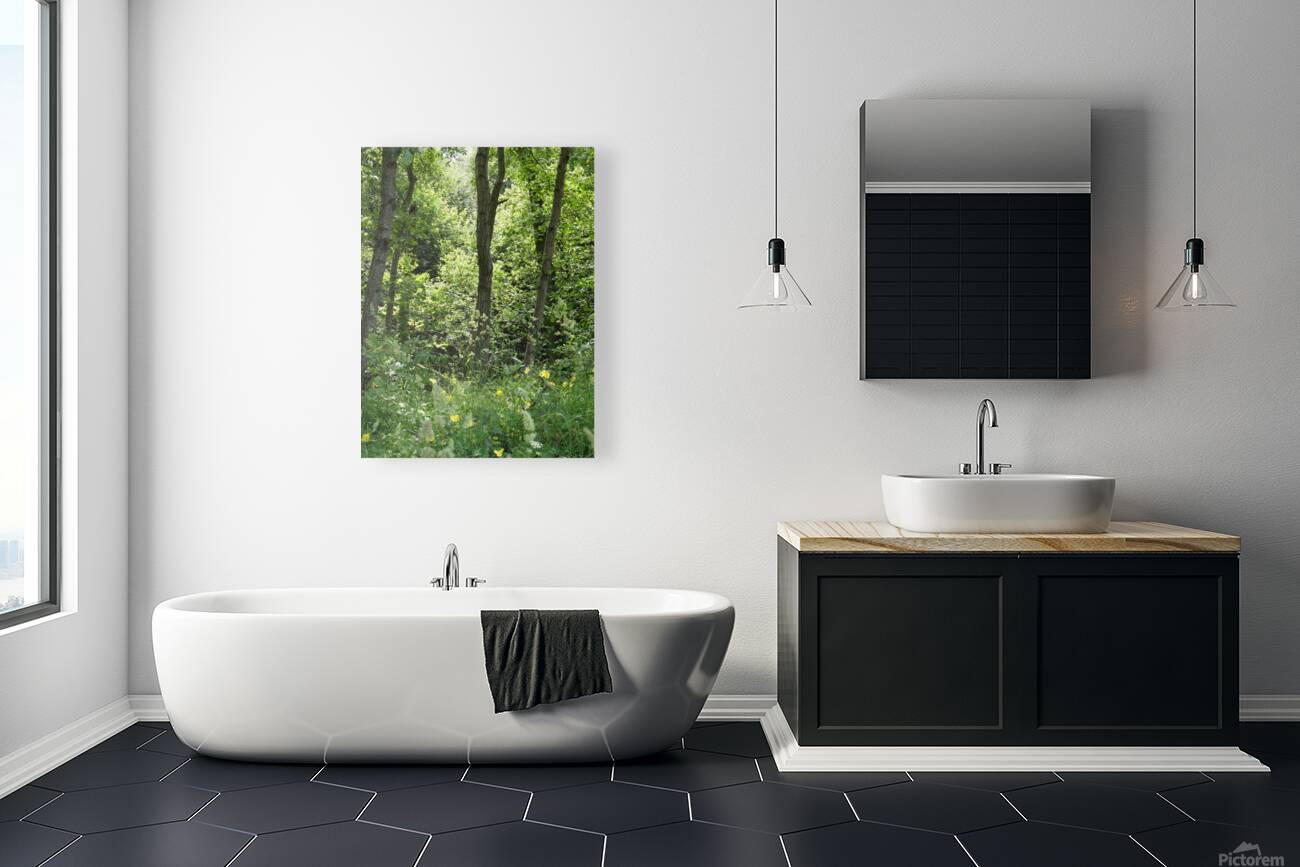 Forest Spring in the Scottish Highlands Reproduction