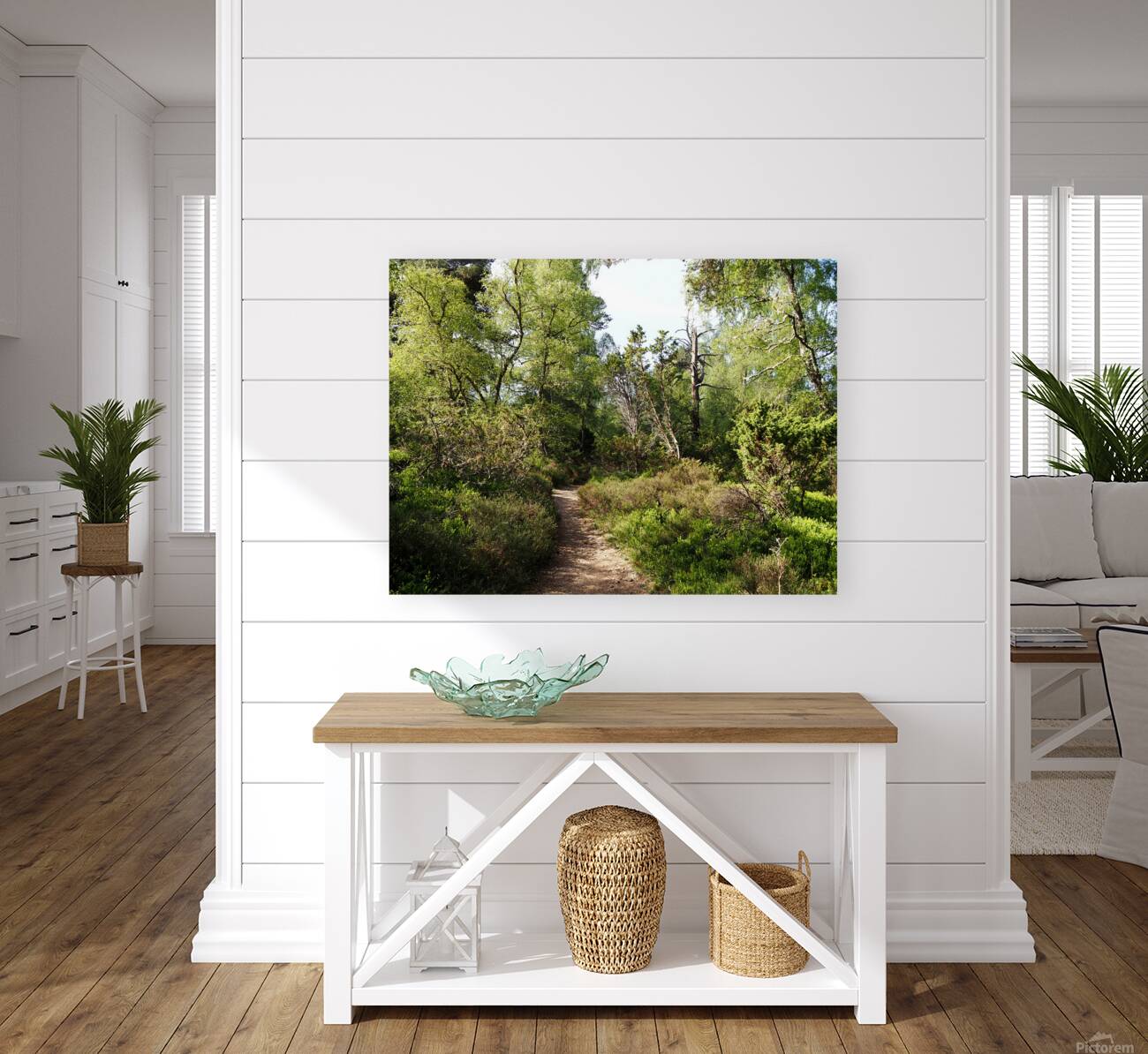  Springs Salute for the Scottish Highlands                                                                                                                     Reproduction