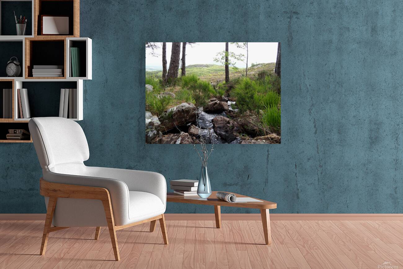  The Burn in the Scottish Highlands                                                                                                                     Reproduction