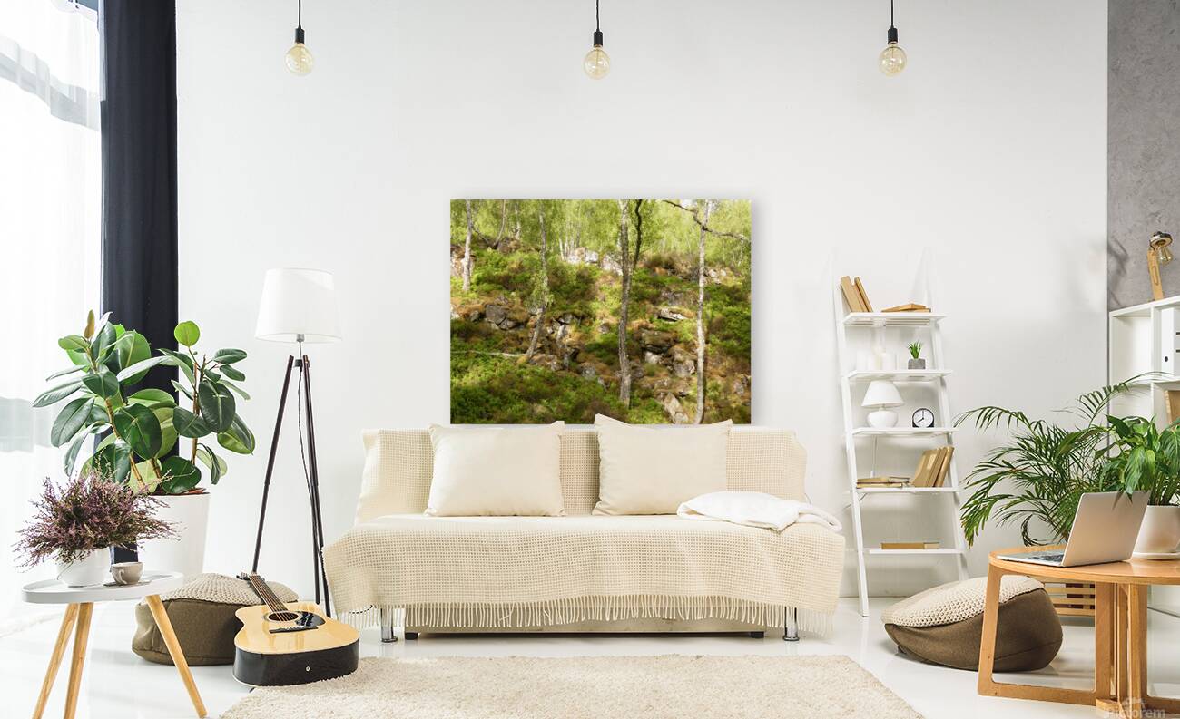 Scottish Highlands Fairy Tale Summer Reproduction